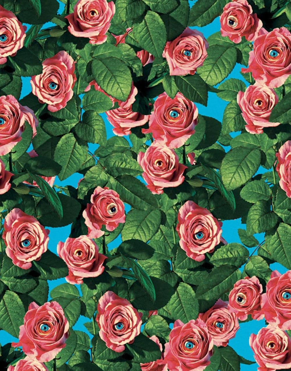 wallpaper-roses