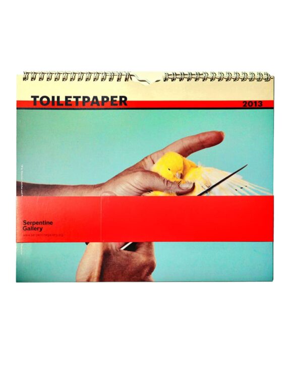 toiletpaper-calendar-2013